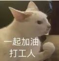 DƬ